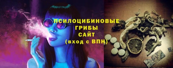 метадон Гусь-Хрустальный